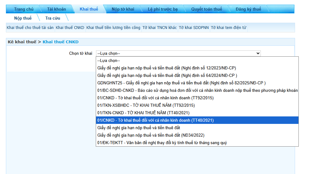 ke-khai-thue-cho-ho-kinh-doanh-1