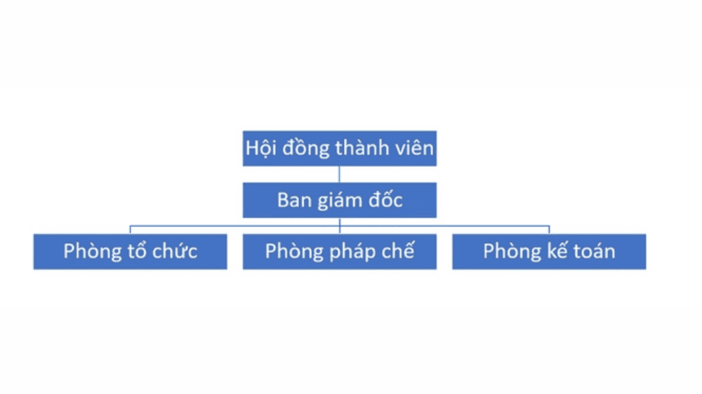 Sơ đồ tổ chức công ty hợp danh