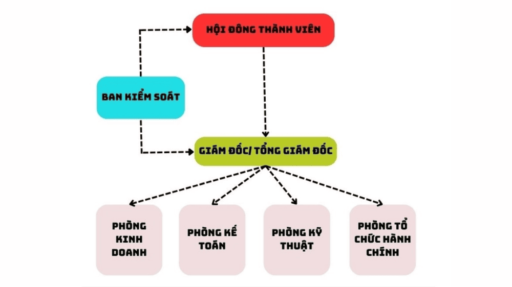 Sơ đồ tổ chức công ty TNHH 2 thành viên