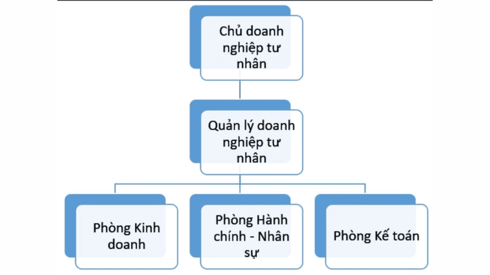 Mẫu sơ đồ tổ chức doanh nghiệp tư nhân