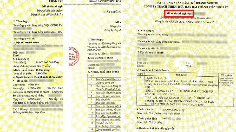Khái niệm "mã số doanh nghiệp"