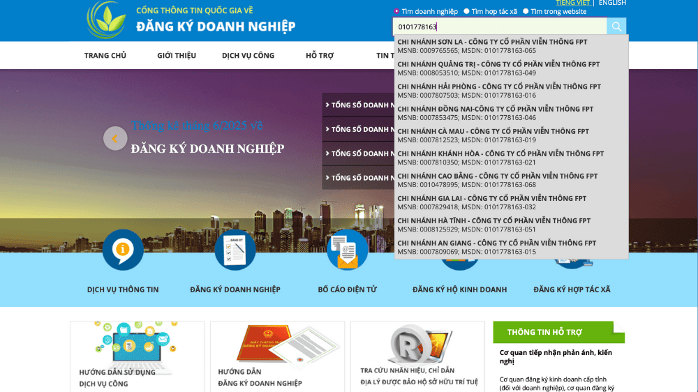 Nhập mã số thuế vào ô tìm kiếm