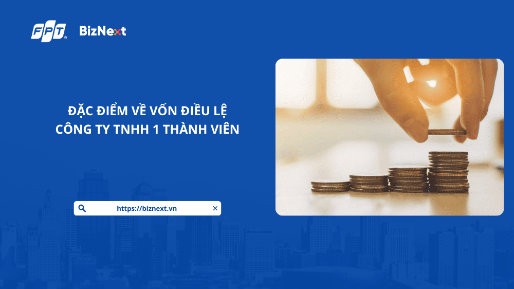 Đặc điểm vốn điều lệ của công ty TNHH 1 thành viên